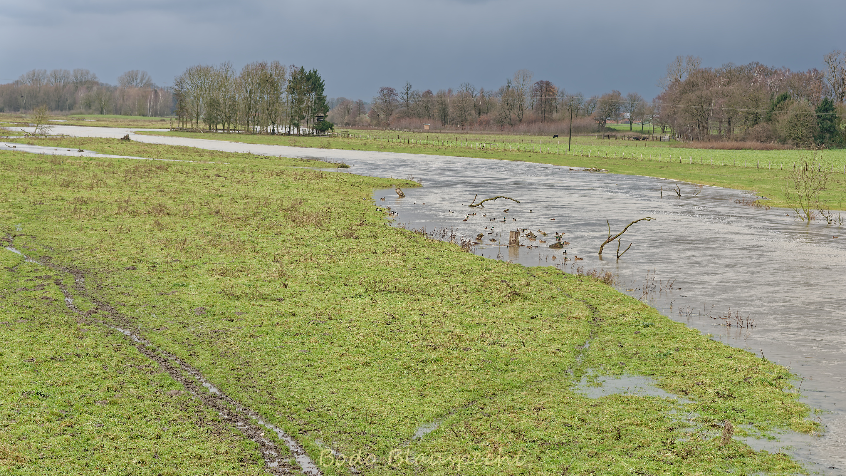 Hochwasser   Steveraue   2017.12.14 14.45 03 WEB